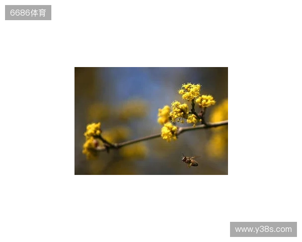 布达佩斯Major第一阶段：战舰轰鸣！FaZe 2-1 RED Canids